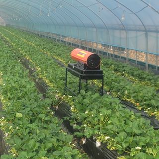 강미향님의 작성글 사진