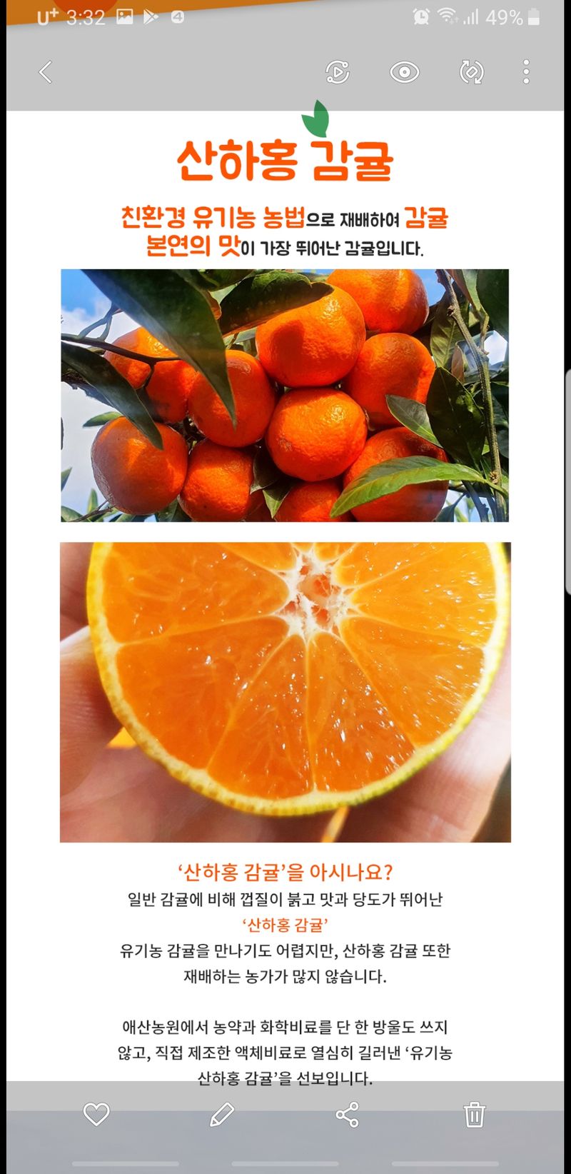 현승훈 님의 장터 판매 상품 [산하홍 감귤  10kg] 첨부 사진