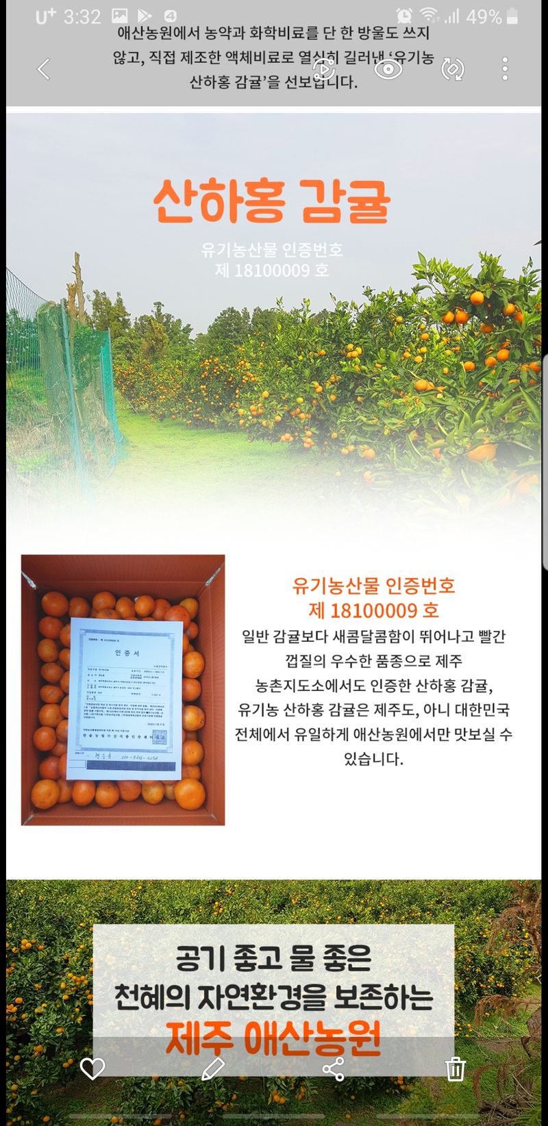 현승훈 님의 장터 판매 상품 [산하홍 감귤  10kg] 첨부 사진