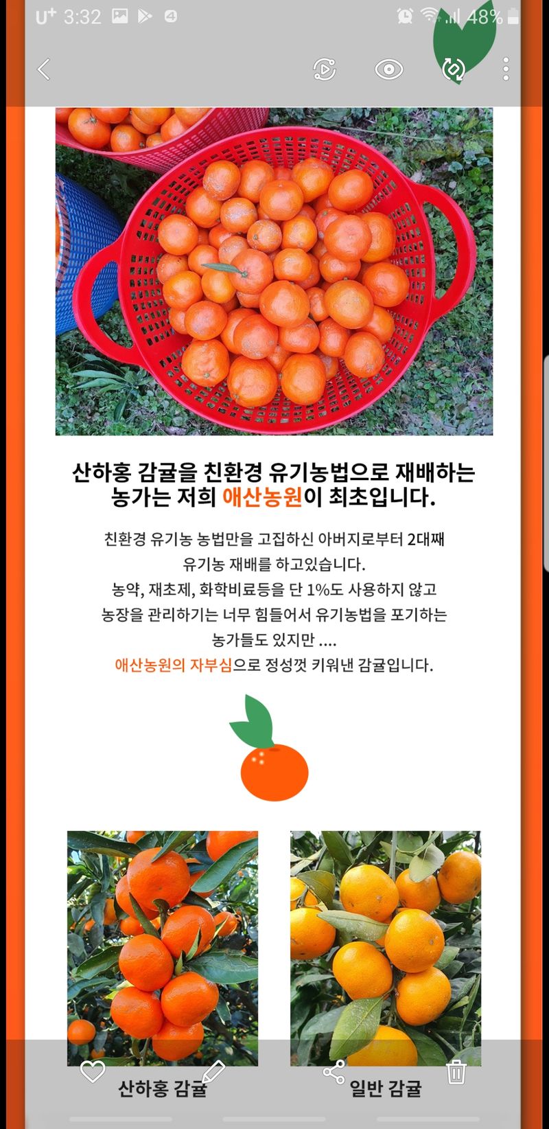 현승훈 님의 장터 판매 상품 [산하홍 감귤  10kg] 첨부 사진