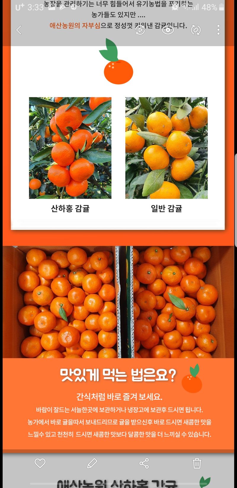 현승훈 님의 장터 판매 상품 [산하홍 감귤  10kg] 첨부 사진