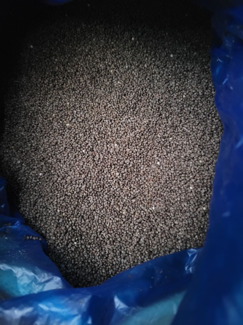 장터 상품 [햇들깨1kg] 썸네일