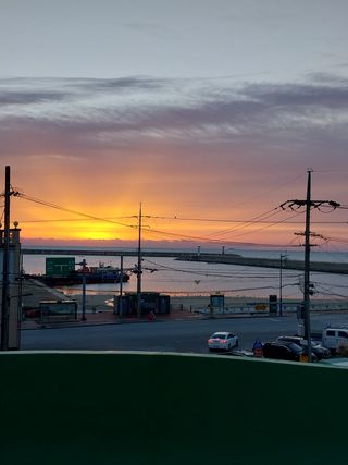 해안로님의 기타작물 · 자유게시판 작성글 사진