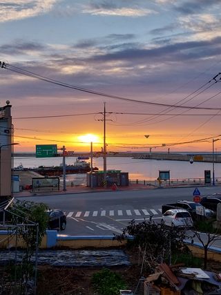 해안로님의 기타작물 · 자유게시판 작성글 사진