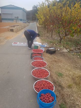 이형규님의 기타작물 · 자유게시판 작성글 사진