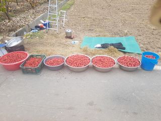 이형규님의 기타작물 · 자유게시판 작성글 사진