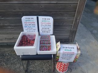 이형규님의 기타작물 · 자유게시판 작성글 사진