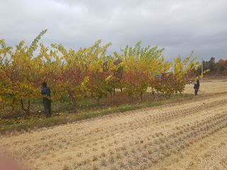 이형규님의 기타작물 · 자유게시판 작성글 사진