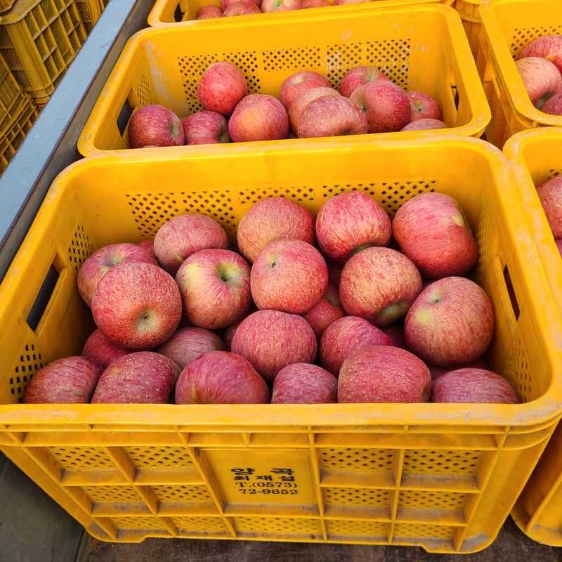 최경식님의 장터 판매 상품 [사과쥬스 1박스 ] 첨부 사진