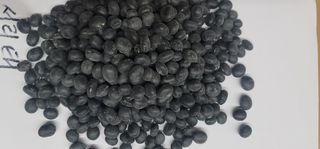 소병지님의 콩 · 자유게시판 작성글 사진