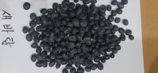 소병지님의 콩 · 자유게시판 작성글 사진