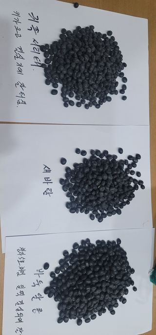 소병지님의 콩 · 자유게시판 작성글 사진