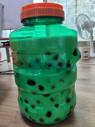 이상숙님의 기타작물 · 자유게시판 작성글 사진