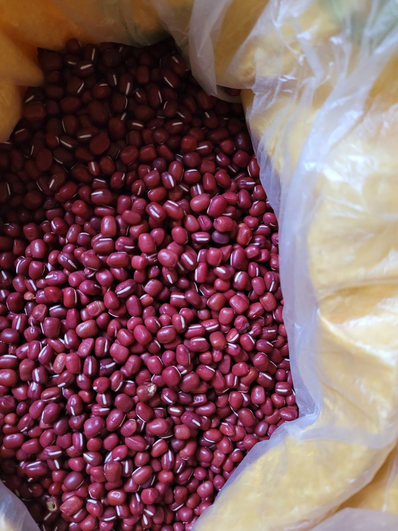 장터 상품 [햇팥1kg당] 썸네일