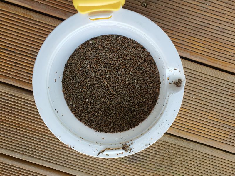 장터 상품 [검정들깨 10kgx2포대 20kg] 썸네일