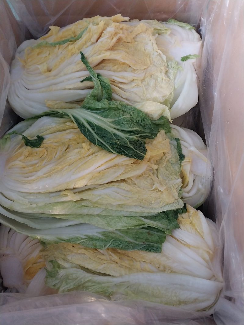 장터 상품 [절임배추 20kg] 썸네일