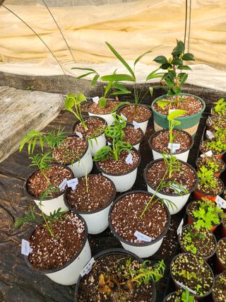 Preotu님의 기타작물 · 자유게시판 작성글 사진