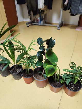 Preotu님의 기타작물 · 자유게시판 작성글 사진