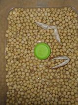 팜모닝 · 게시글 이미지