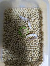 팜모닝 · 게시글 이미지