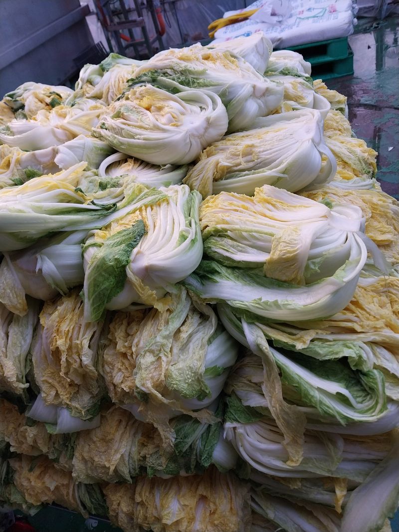 장터 상품 [절임배추 20kg] 썸네일