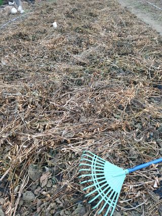 김화연님의 콩 · 자유게시판 작성글 사진