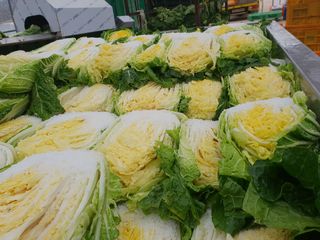 박효식님의 작성글 사진