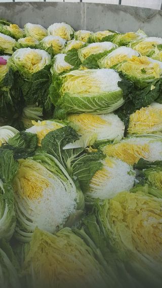 박효식님의 작성글 사진