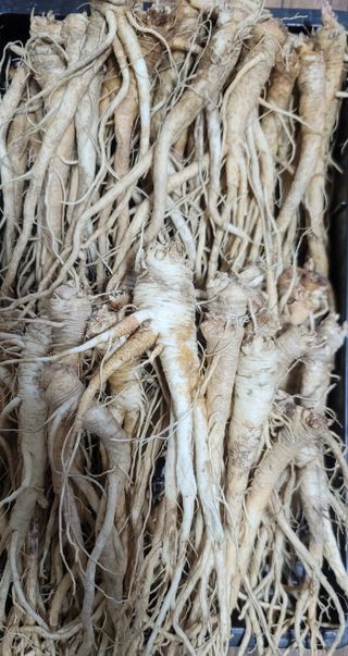 천종현님의 기타작물 · 자유게시판 작성글 사진