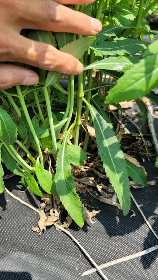 천종현님의 기타작물 · 자유게시판 작성글 사진