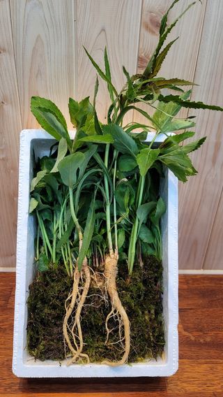 천종현님의 기타작물 · 자유게시판 작성글 사진