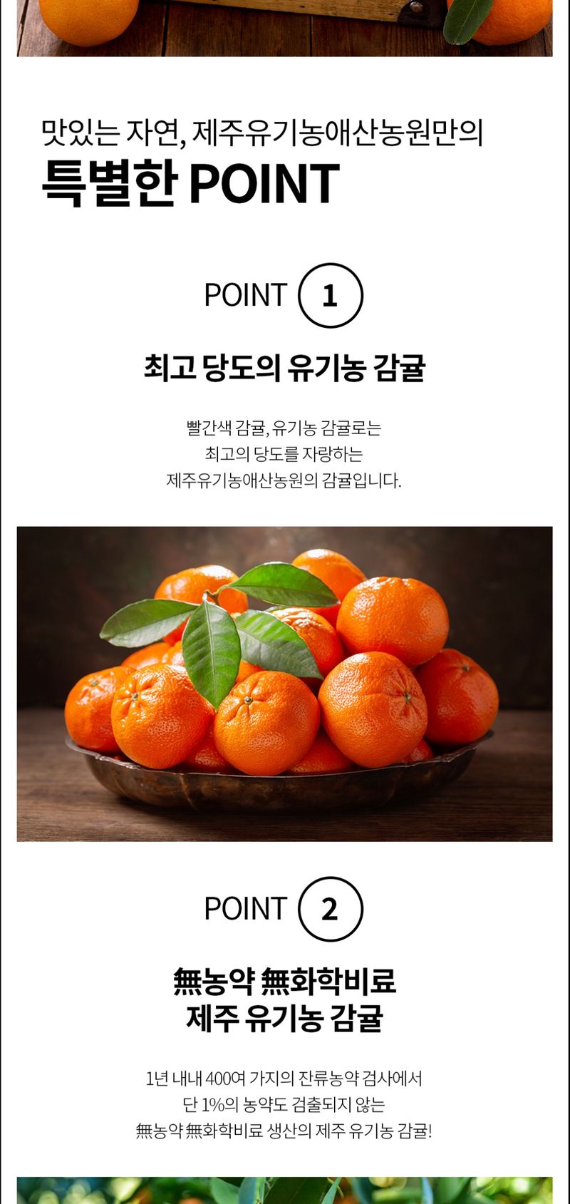 현승훈 님의 장터 판매 상품 [유기농 산하홍 감귤 1박스 10kg] 첨부 사진