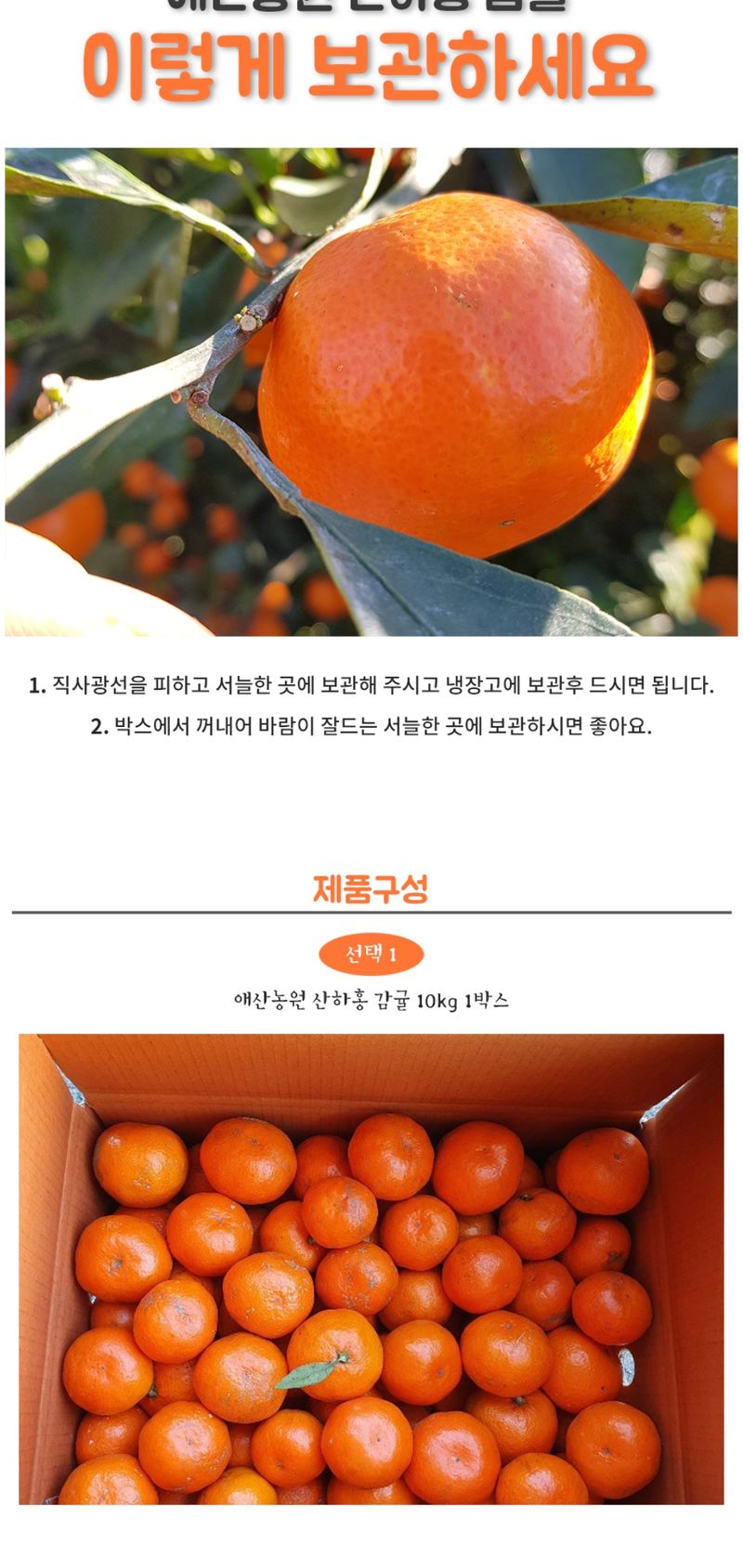 현승훈 님의 장터 판매 상품 [유기농 산하홍 감귤 1박스 10kg] 첨부 사진