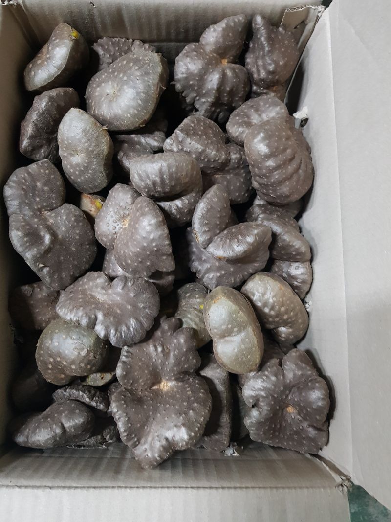 장터 상품 [하늘마ㅡ판매합니다] 썸네일