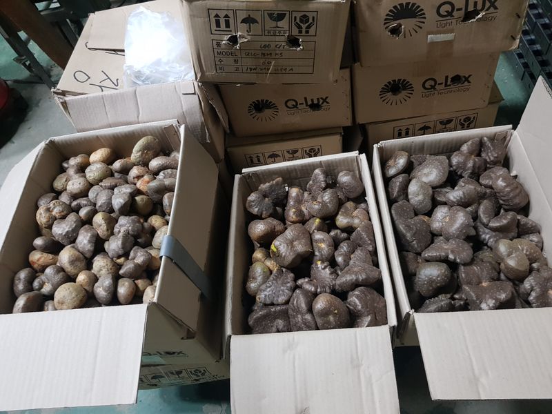 김성권님의 장터 판매 상품 [하늘마ㅡ판매합니다] 첨부 사진