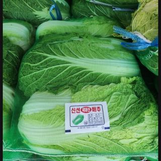 송윤상님의 기타작물 · 자유게시판 작성글 사진