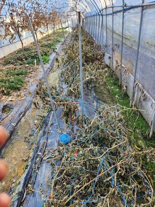 Preotu님의 기타작물 · 자유게시판 작성글 사진