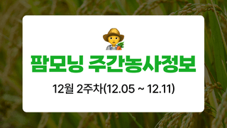 벼 농사도우미님의 벼 · 농사길잡이 작성글 사진