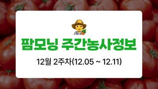 토마토 농사도우미님의 토마토 · 생장기 농작업 작성글 사진