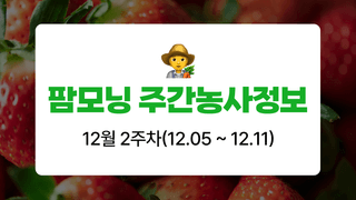 딸기 농사도우미님의 딸기 · 온도 관리 작성글 사진