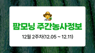 오이 농사도우미님의 오이 · 농사길잡이 작성글 사진
