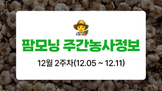 마늘 농사도우미님의 마늘 · 자연재해•동물피해 작성글 사진