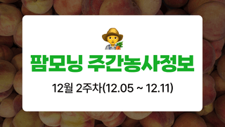 복숭아 농사도우미님의 복숭아 · 농사길잡이 작성글 사진