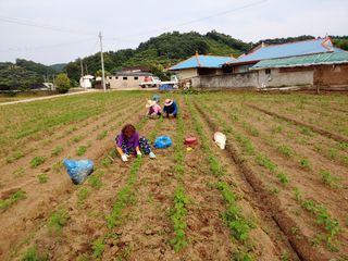 좋은들님의 작성글 사진