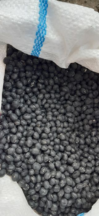 좋은들님의 작성글 사진