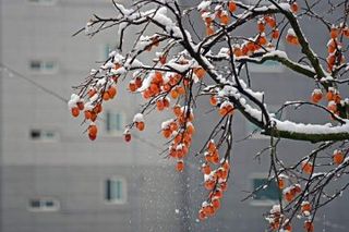 홍상옥님의 작성글 사진