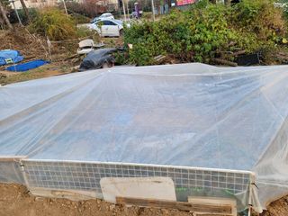 신승재님의 상추 · 자유게시판 작성글 사진