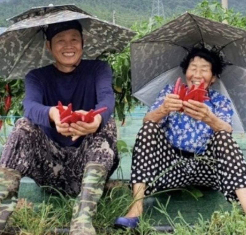 장터 상품 [5년생 아스파라거스 판매합니다] 썸네일