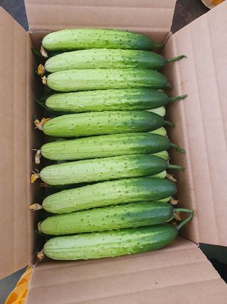 성기철님의 작성글 사진