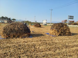 Nice1025님의 작성글 사진